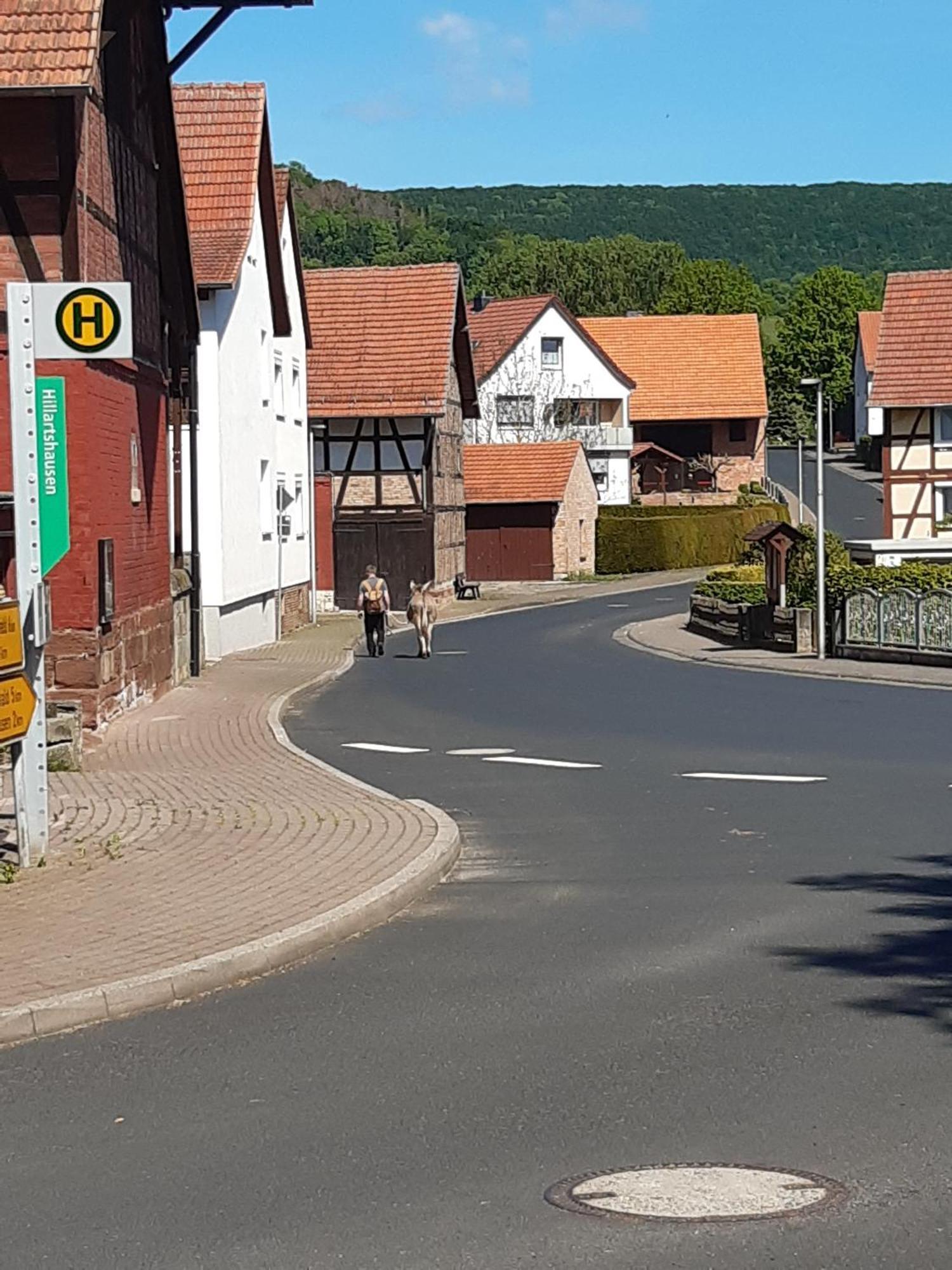 Ferienwohnung, 30 Qm Friedewald  外观 照片