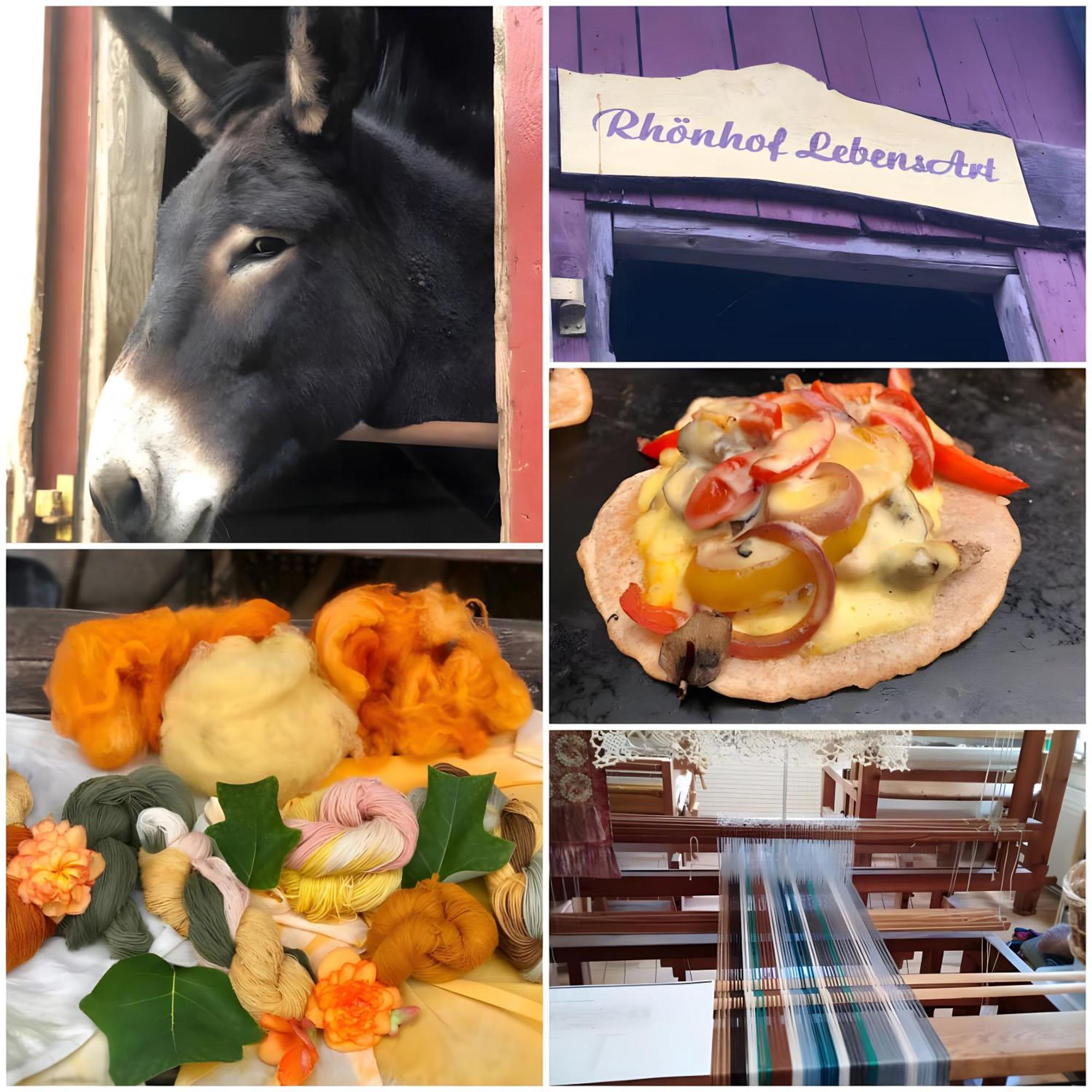 Ferienwohnung, 30 Qm Friedewald  外观 照片